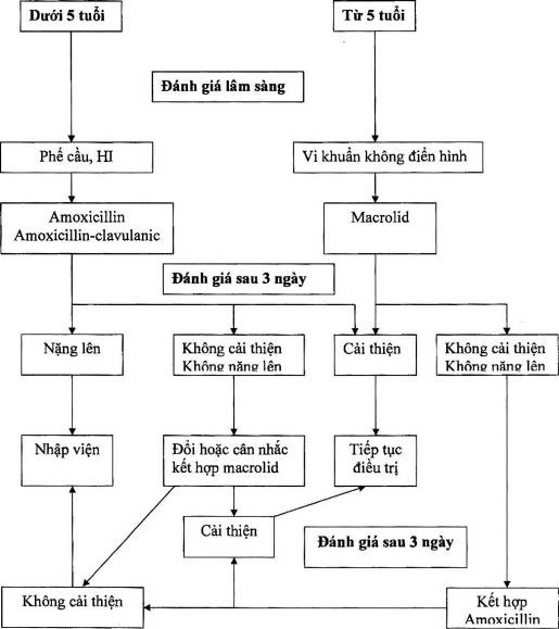 Viêm phổi ở trẻ em Bộ Y tế: Nguyên nhân, Triệu chứng và Phương pháp Phòng ngừa