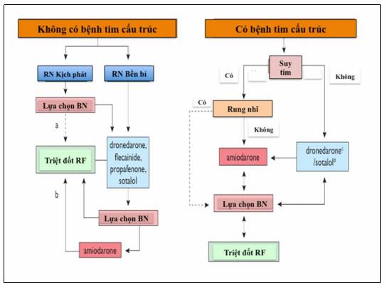 Quy Trình Đo Điện Tim của Bộ Y Tế