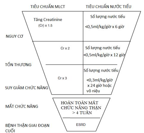 Suy Thận Cấp - Thông Tin Từ Bộ Y Tế