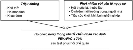 4. Các yếu tố nguy cơ và biện pháp phòng ngừa