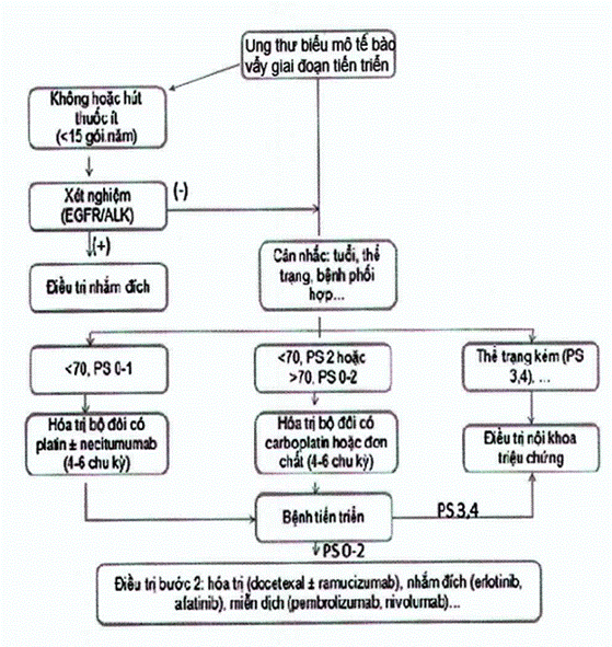 3. Phác Đồ Điều Trị