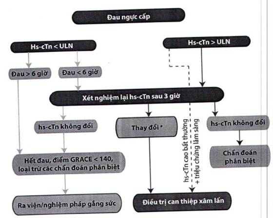 Phác Đồ Điều Trị Thiếu Máu Cơ Tim: Hướng Dẫn Chi Tiết và Hiệu Quả