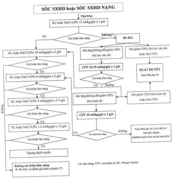 6. Hướng Dẫn Chăm Sóc Tại Nhà