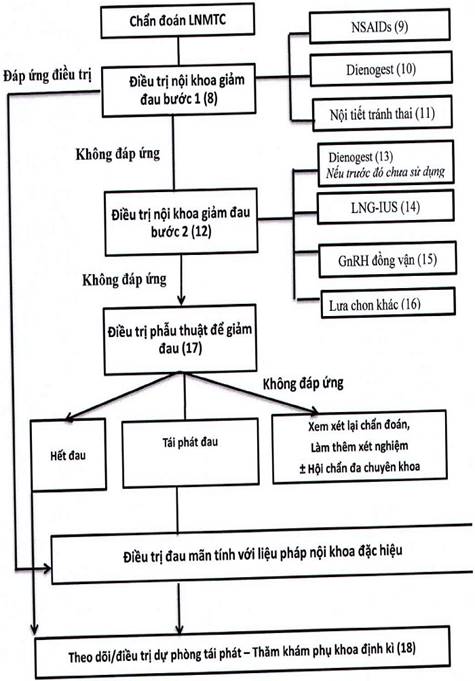 4. Phác đồ điều trị lạc nội mạc tử cung