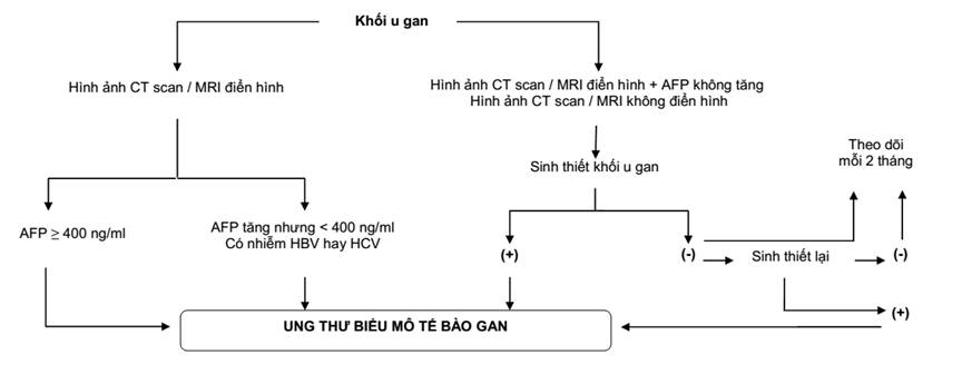 Chẩn đoán và Điều trị Ung thư Gan Theo Hướng Dẫn của Bộ Y Tế