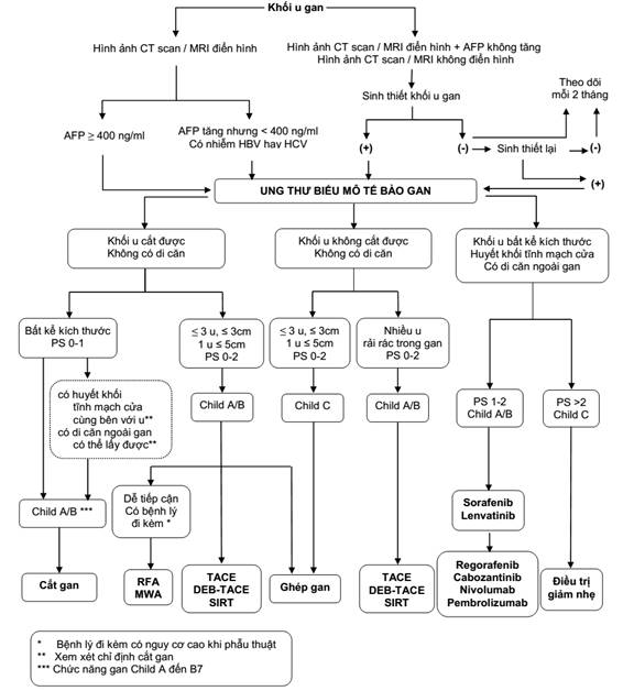 Tiêu Chuẩn Chẩn Đoán Ung Thư Gan Bộ Y Tế: Hướng Dẫn Chi Tiết Từ Bộ Y Tế