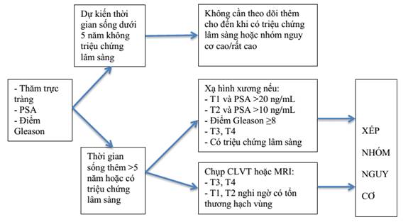 Phác đồ điều trị u xơ tiền liệt tuyến: Giải pháp hiệu quả cho sức khỏe nam giới