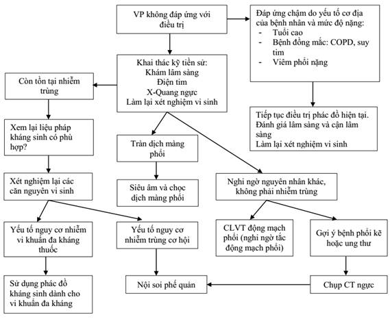 Phác đồ điều trị viêm phổi thùy của Bộ Y tế