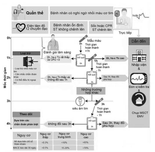 Nhồi máu cơ tim Bộ Y tế 2020: Hướng dẫn chẩn đoán và điều trị chi tiết