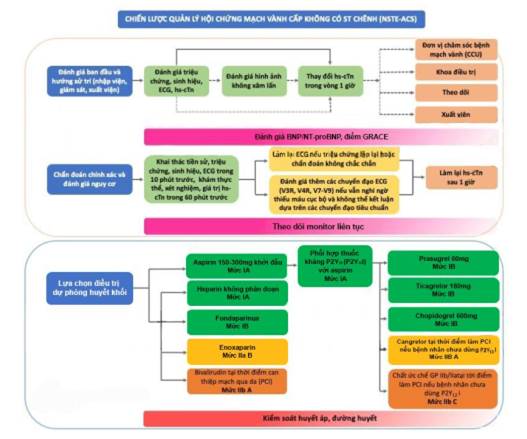 Bệnh mạch vành Bộ Y tế 2020: Hướng dẫn chẩn đoán và điều trị hiệu quả