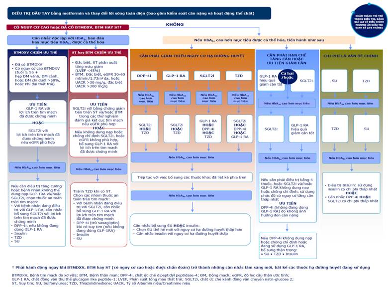 Phác Đồ Điều Trị Tiểu Đường Bộ Y Tế: Cập Nhật Chi Tiết Mới Nhất 2024