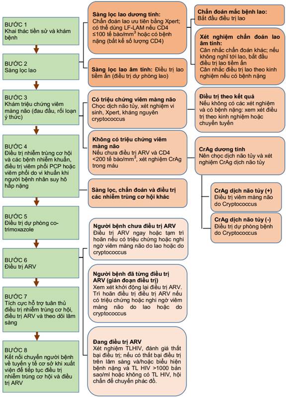 Phác Đồ Điều Trị Bệnh Ghẻ Bộ Y Tế: Hướng Dẫn Chi Tiết Từ A-Z Cho Người Bệnh