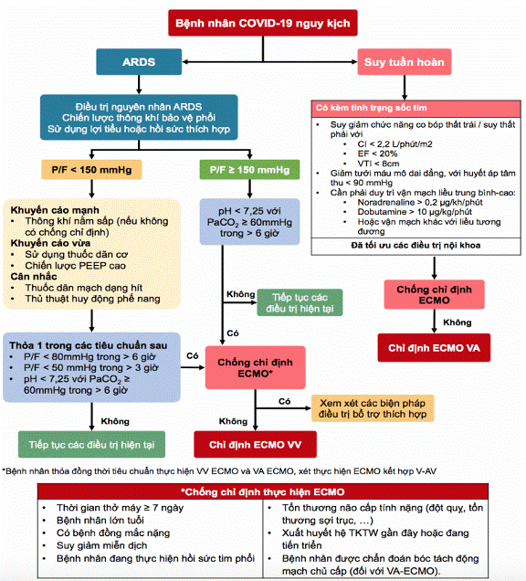 1. Tổng quan về mụn trứng cá