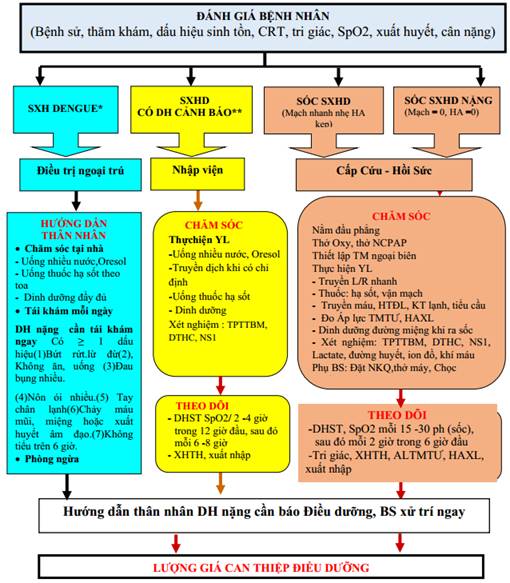 6. Kết luận và khuyến nghị