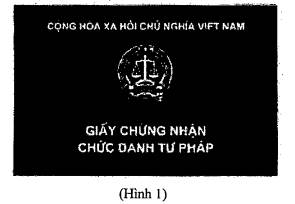 Thông tư 06/2025/TT-TANDTC quy định mẫu, việc cấp phát, sử dụng trang phục, Giấy chứng nhận chức danh tư pháp, Giấy chứng nhận Tòa án nhân dân, biển tên của Thẩm tra viên Tòa án, Thư ký Tòa án, công chức khác, viên chức và người lao động trong Tòa án nhân dân do Chánh án Tòa án nhân dân tối cao ban hành 53 image025