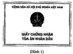 Thông tư 06/2025/TT-TANDTC quy định mẫu, việc cấp phát, sử dụng trang phục, Giấy chứng nhận chức danh tư pháp, Giấy chứng nhận Tòa án nhân dân, biển tên của Thẩm tra viên Tòa án, Thư ký Tòa án, công chức khác, viên chức và người lao động trong Tòa án nhân dân do Chánh án Tòa án nhân dân tối cao ban hành 55 image027