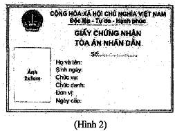 Thông tư 06/2025/TT-TANDTC quy định mẫu, việc cấp phát, sử dụng trang phục, Giấy chứng nhận chức danh tư pháp, Giấy chứng nhận Tòa án nhân dân, biển tên của Thẩm tra viên Tòa án, Thư ký Tòa án, công chức khác, viên chức và người lao động trong Tòa án nhân dân do Chánh án Tòa án nhân dân tối cao ban hành 56 image028