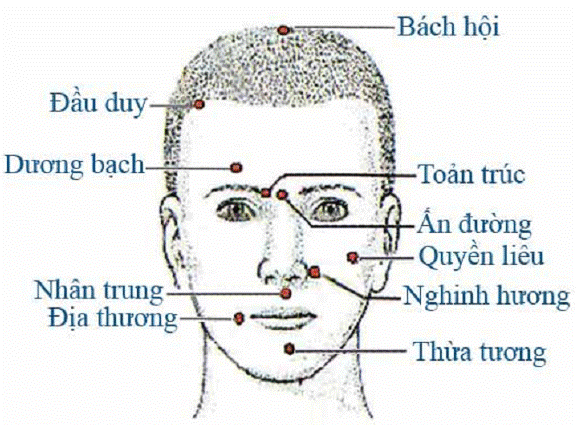 Có bao nhiêu loại bộ tranh châm cứu được sử dụng trong cơ sở khám bệnh, chữa bệnh bằng y học cổ truyền?